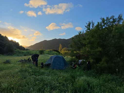 transardinia